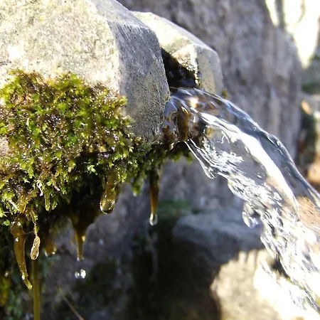 Gasthuis D'hotes Littariccia 4*