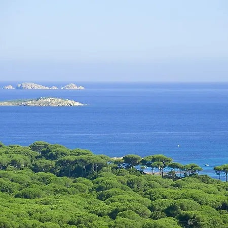 Pensionat Chambres D'hotes Littariccia 4*