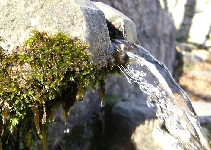 Pensjonat D'hotes Littariccia 4*